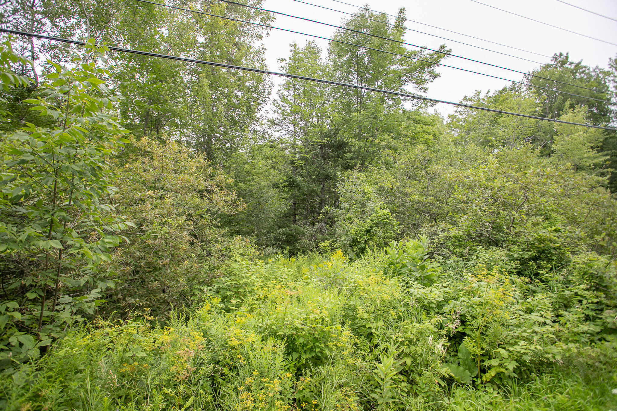 Lot 44-6 Five Road Carmel, ME 04419 - Photo 5 of 21 IMG_0484