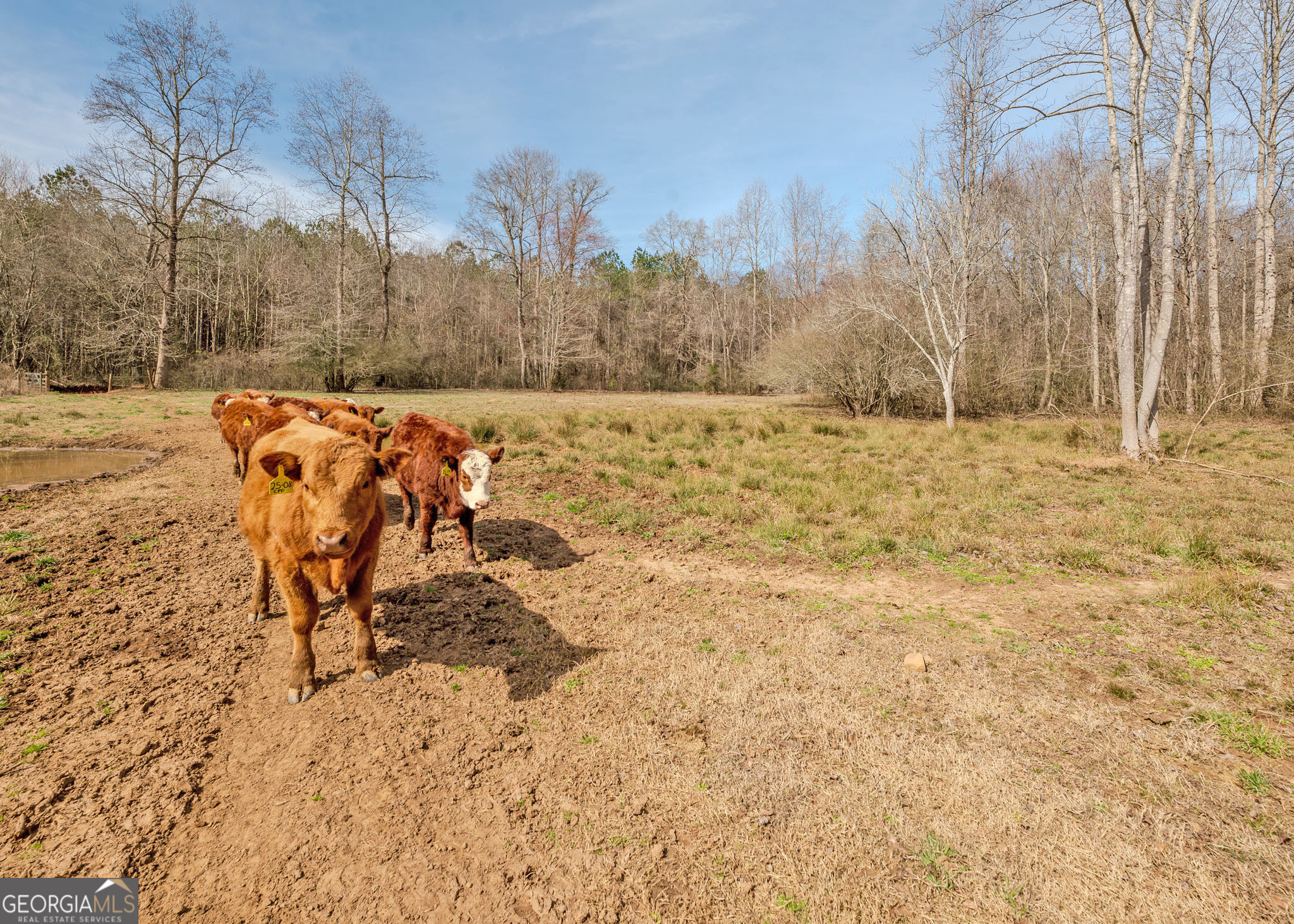 1363 A McFarlin Bridge Road Carnesville, GA 30521 - Photo 61 of 76