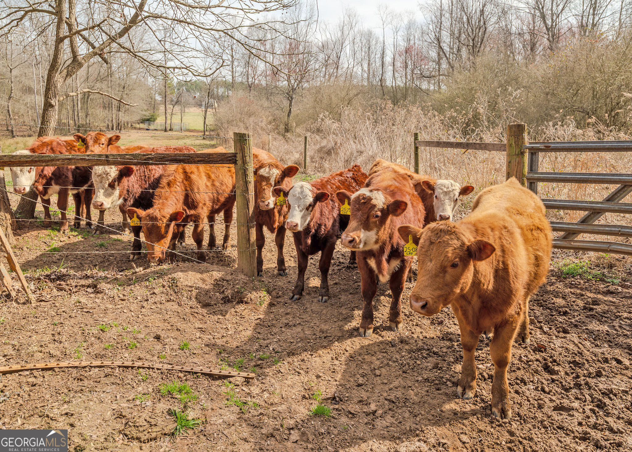 1363 A McFarlin Bridge Road Carnesville, GA 30521 - Photo 64 of 76