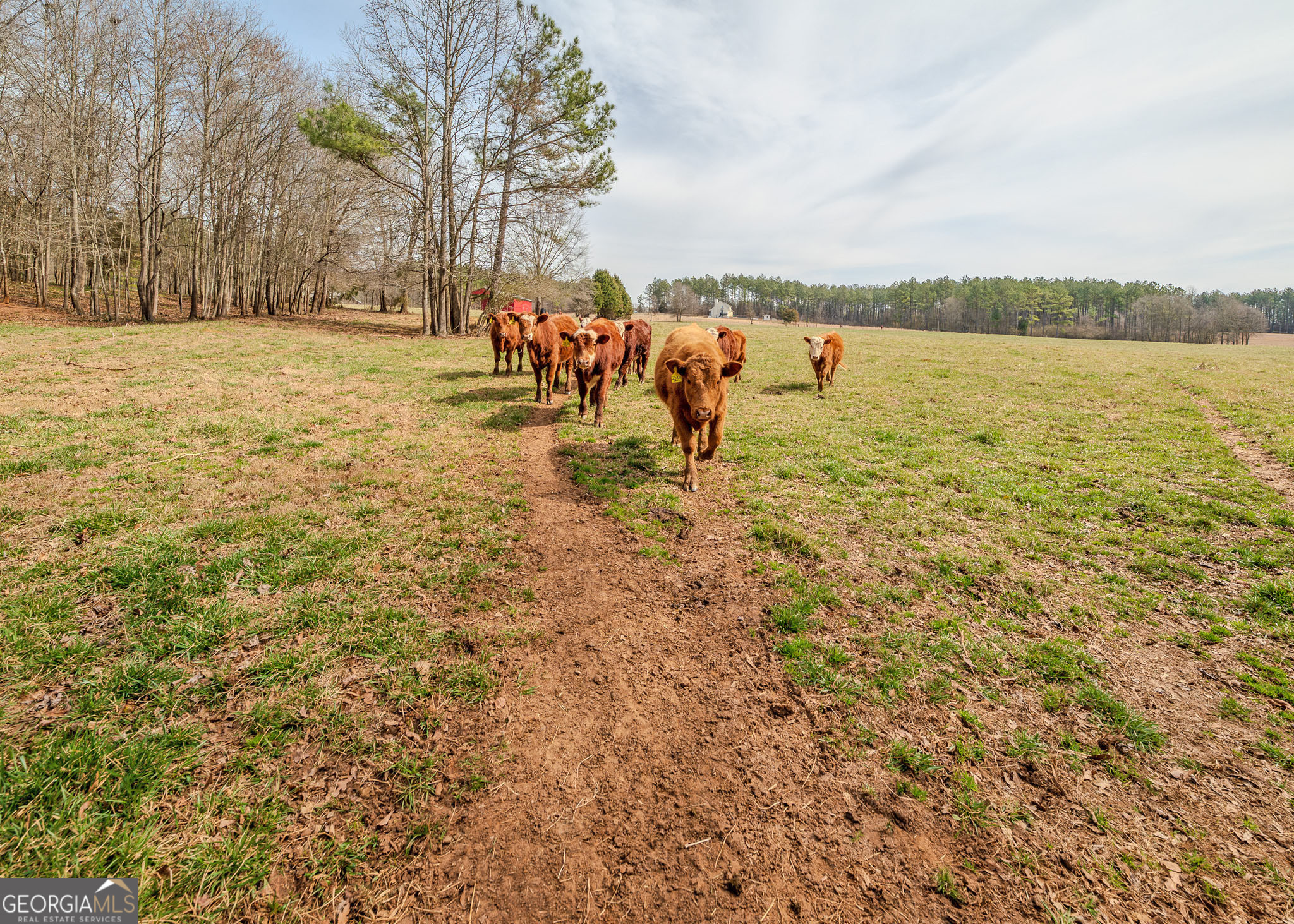 1363 A McFarlin Bridge Road Carnesville, GA 30521 - Photo 65 of 76