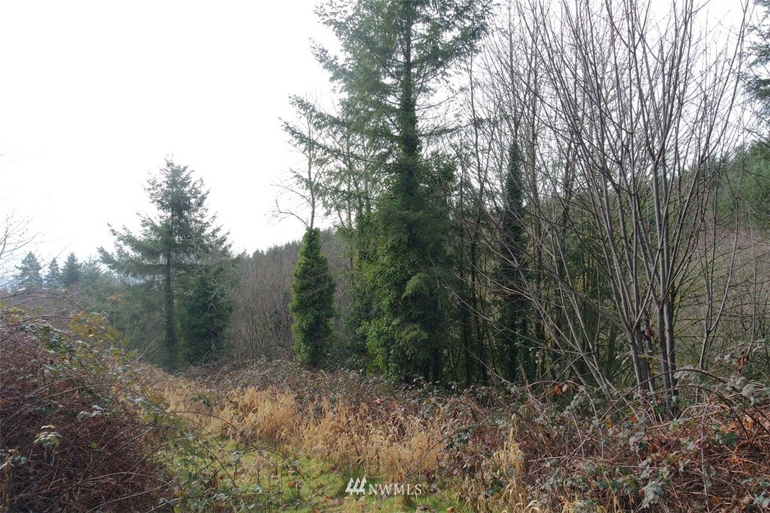 84 Champion Road Kalama, WA 98625 - Photo 1 of 23 Gallery Image 1