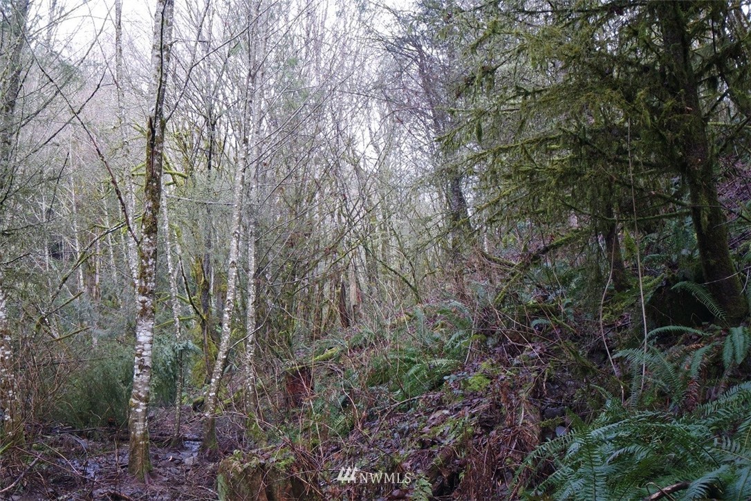 84 Champion Road Kalama, WA 98625 - Photo 14 of 23 Gallery Image 14