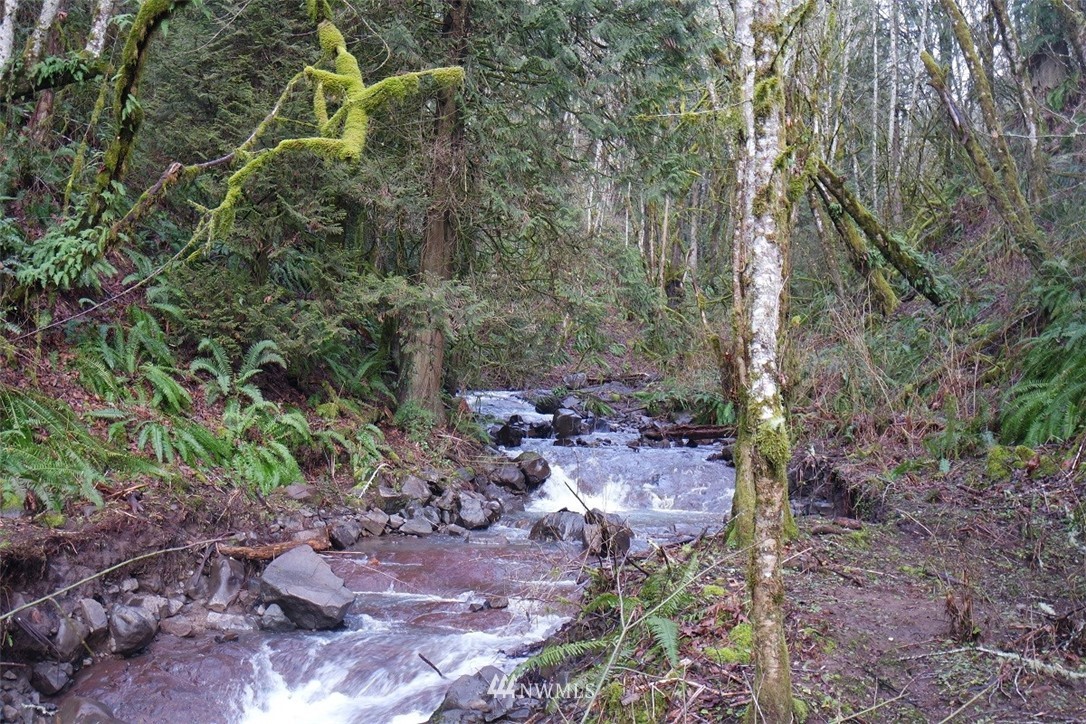 84 Champion Road Kalama, WA 98625 - Photo 3 of 23 Gallery Image 3