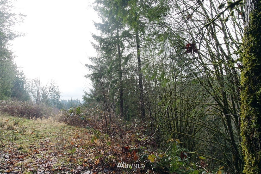 84 Champion Road Kalama, WA 98625 - Photo 22 of 23 Gallery Image 22