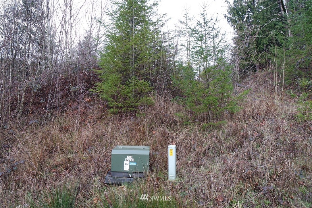 84 Champion Road Kalama, WA 98625 - Photo 23 of 23 Gallery Image 23