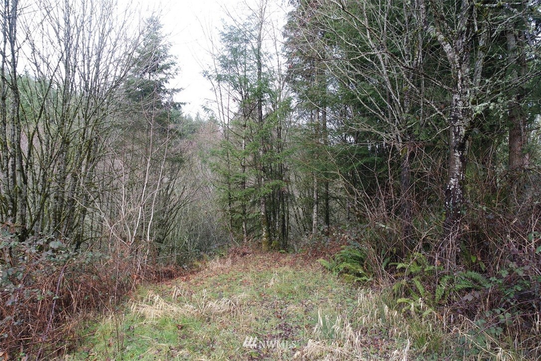 84 Champion Road Kalama, WA 98625 - Photo 4 of 23 Gallery Image 4