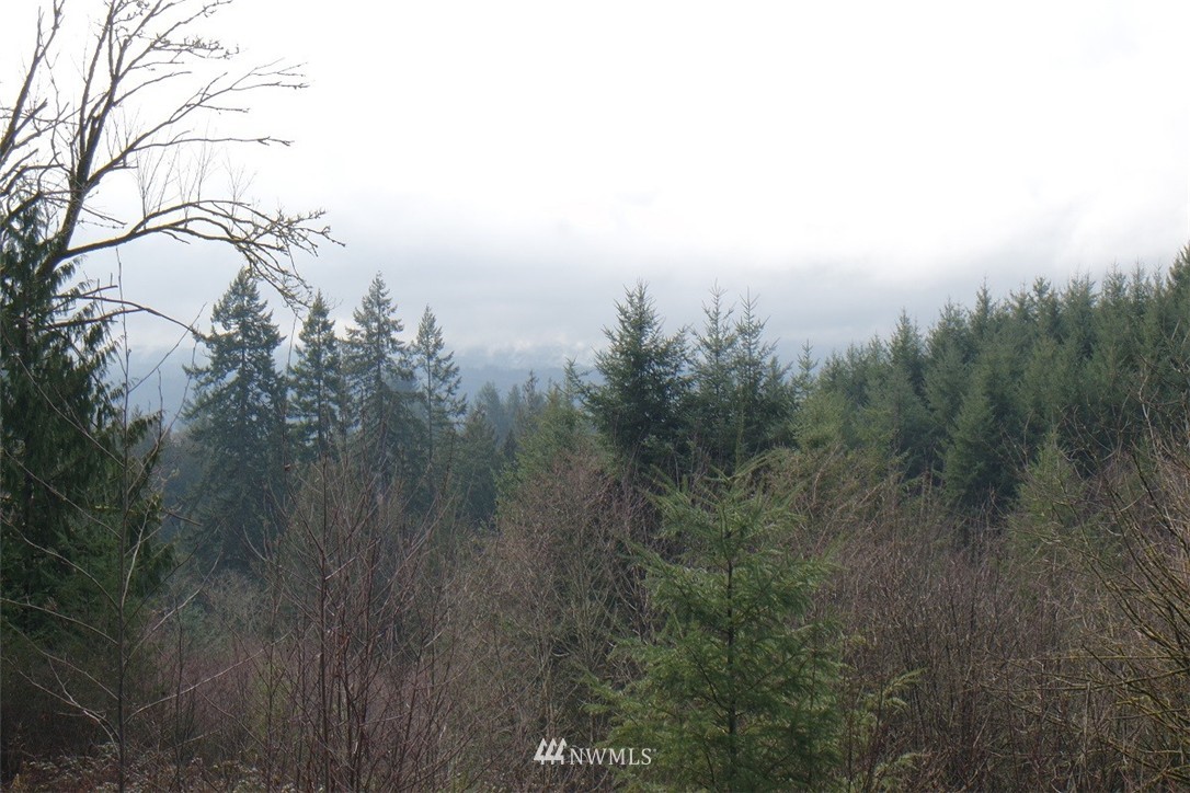 84 Champion Road Kalama, WA 98625 - Photo 6 of 23 Gallery Image 6