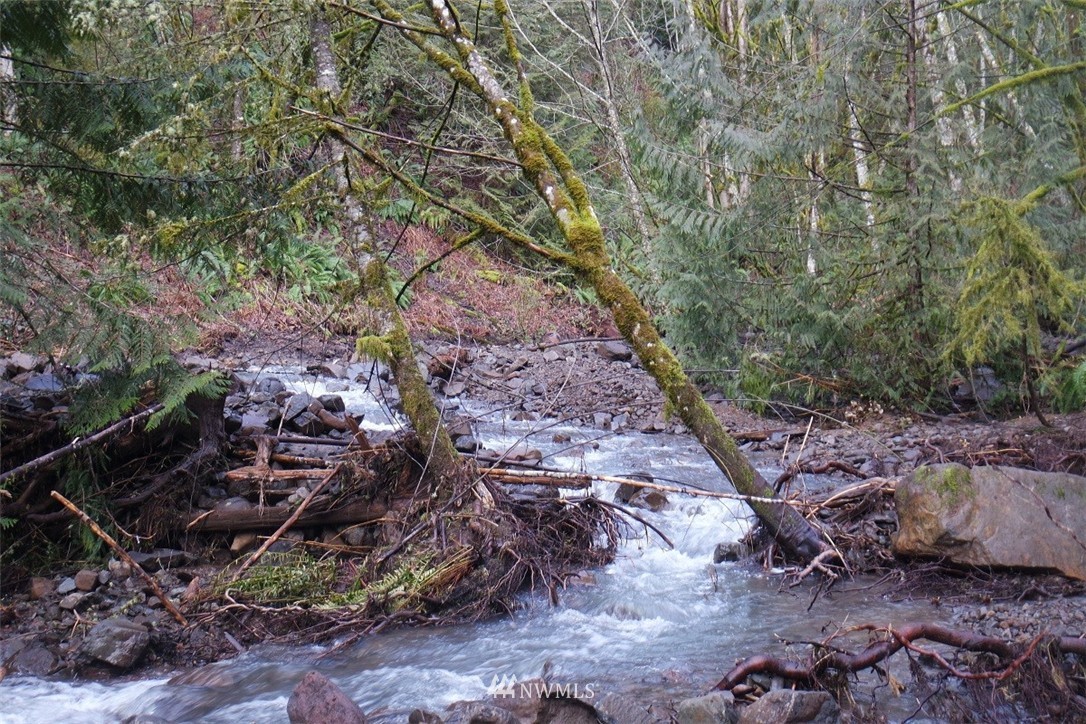 84 Champion Road Kalama, WA 98625 - Photo 7 of 23 Gallery Image 7