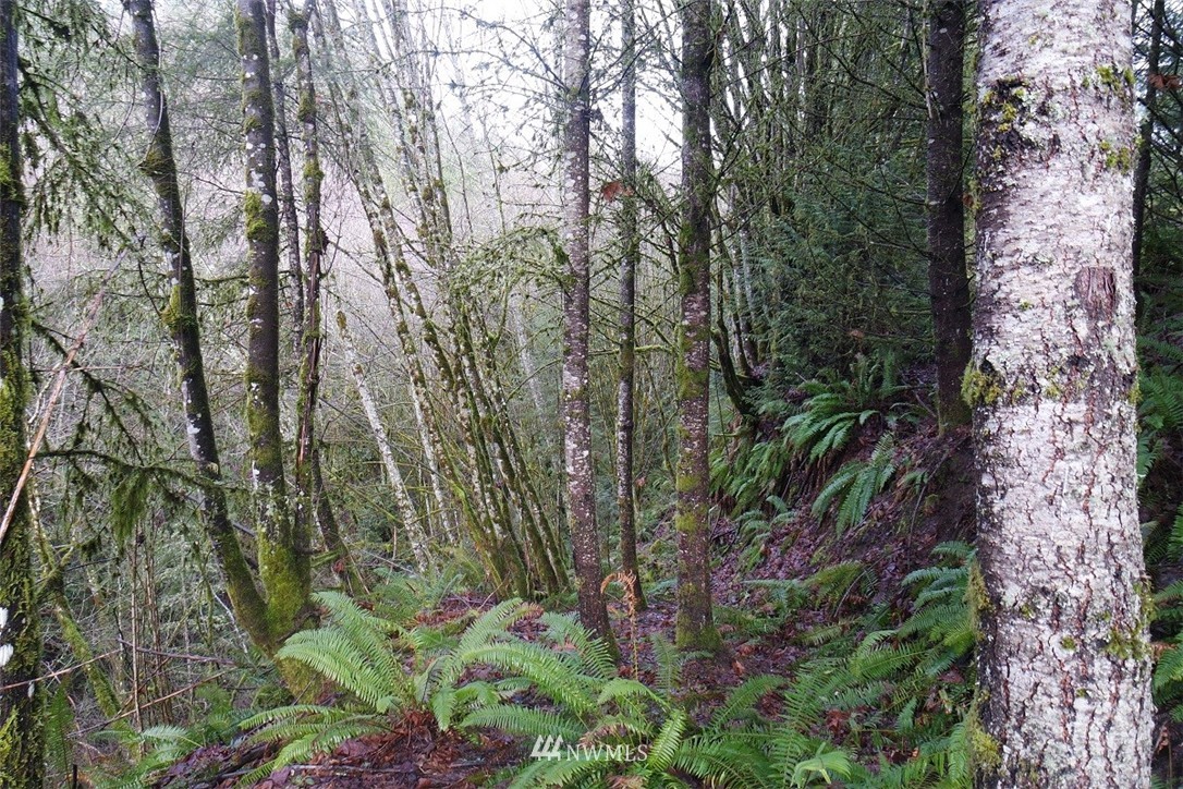 84 Champion Road Kalama, WA 98625 - Photo 10 of 23 Gallery Image 10