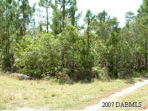 0 Ames Haven Road Edgewater, FL 32141 - Photo 1 of 3 Primary Photo