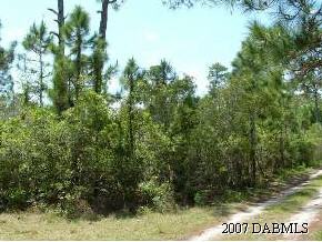 0 Ames Haven Road Edgewater, FL 32141 - Photo 2 of 3 Additional Photo