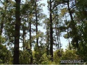 0 Ames Haven Road Edgewater, FL 32141 - Photo 3 of 3 Additional Photo