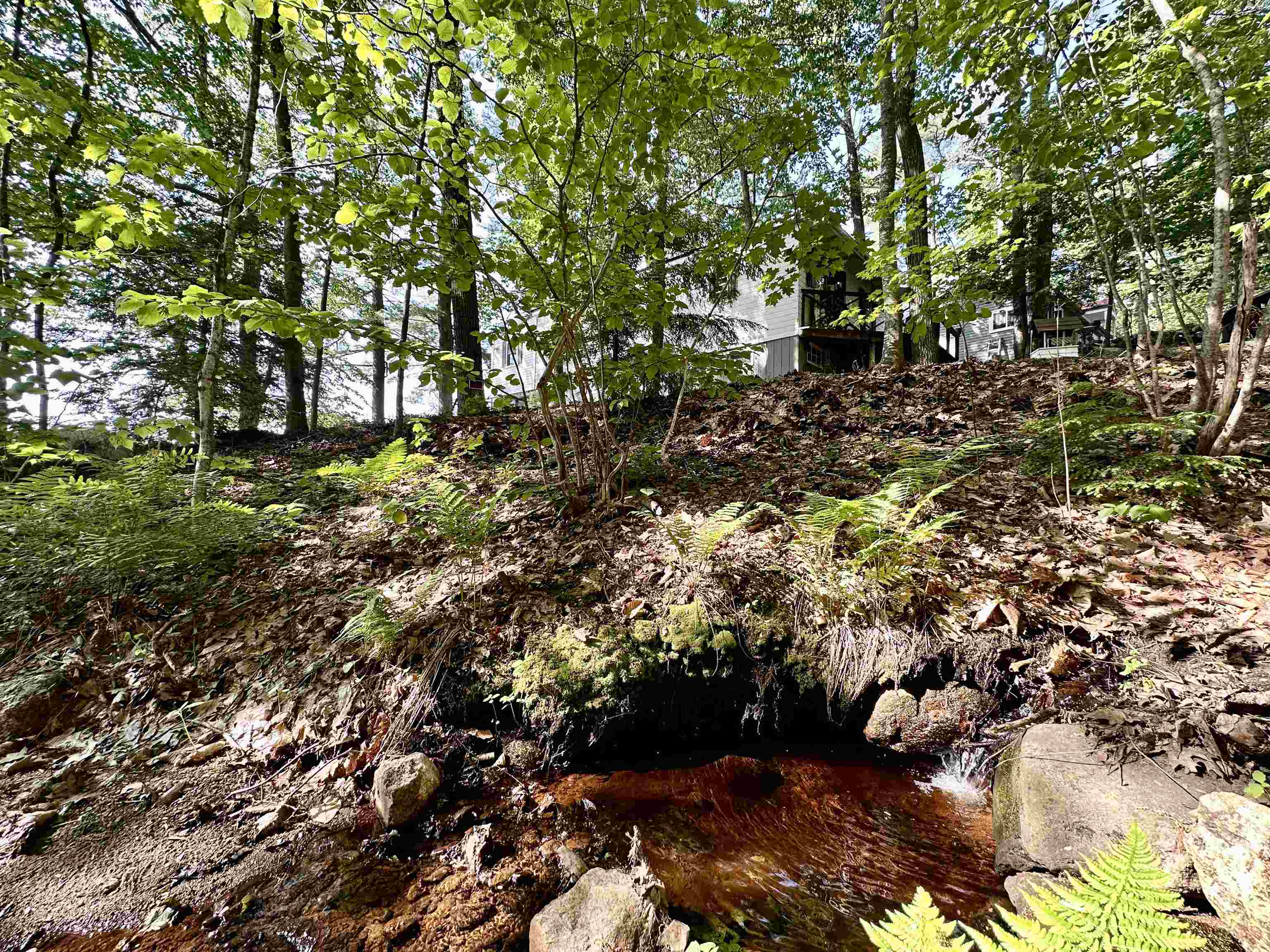 6 Pine Street Nottingham, NH 03290 - Photo 8 of 19