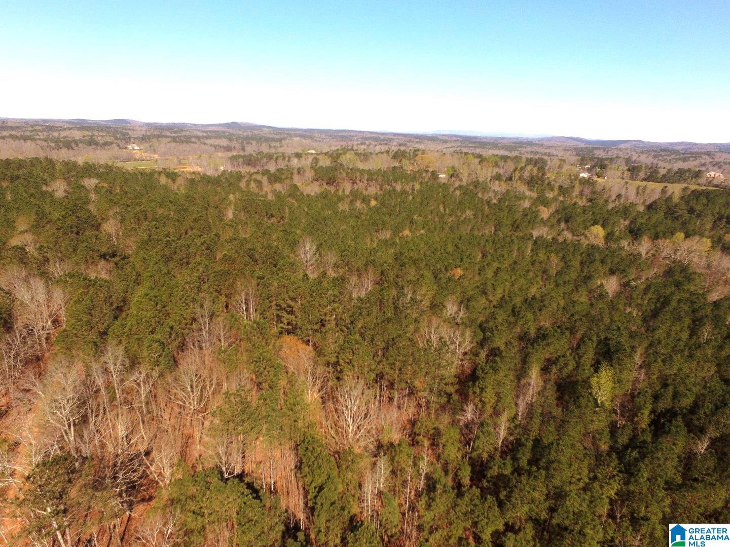 3045 Corinth Road, Unit 56 ACRES Cragford, AL 36255 - Photo 23 of 29