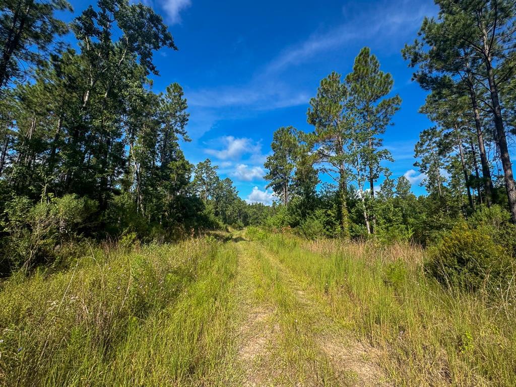 1 Highway 165 Kinder, LA 70648 - Photo 11 of 15