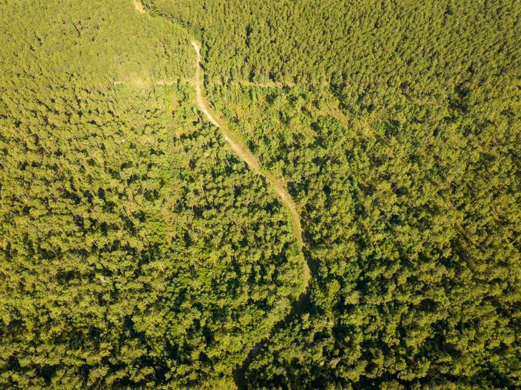 1 Highway 165 Kinder, LA 70648 - Photo 2 of 15 a view of a yard