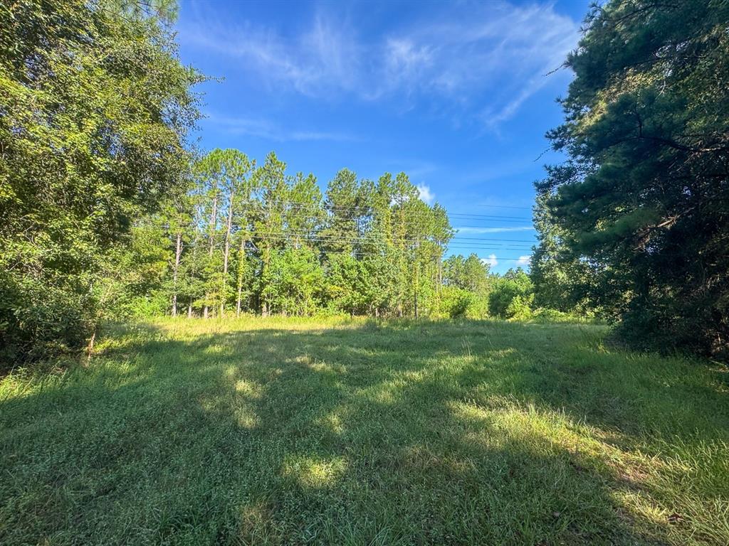 1 Highway 165 Kinder, LA 70648 - Photo 6 of 15 a view of a yard with an trees