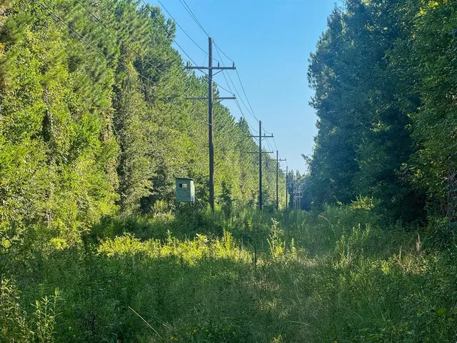 a view of a big yard with large trees