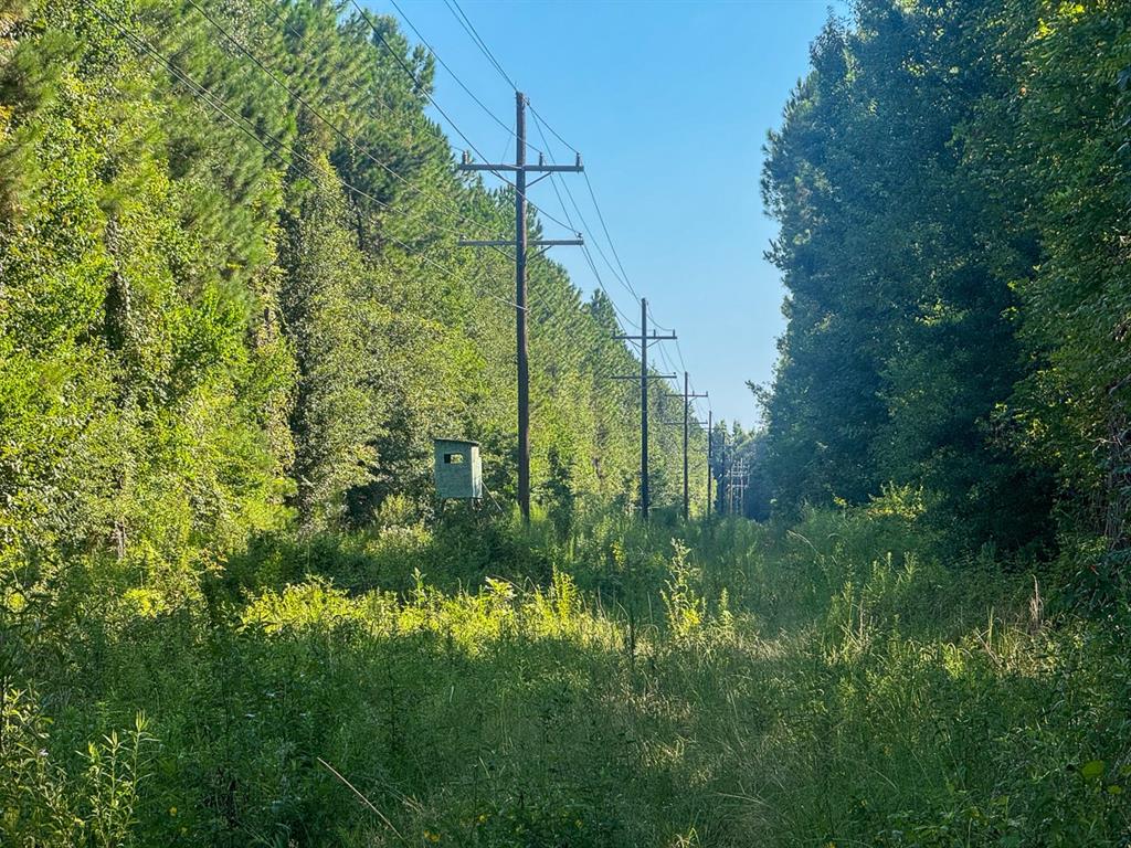 1 Highway 165 Kinder, LA 70648 - Photo 8 of 15