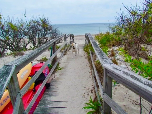 $969,000 | 3 Mulberry Circle, Sandwich, MA 02537