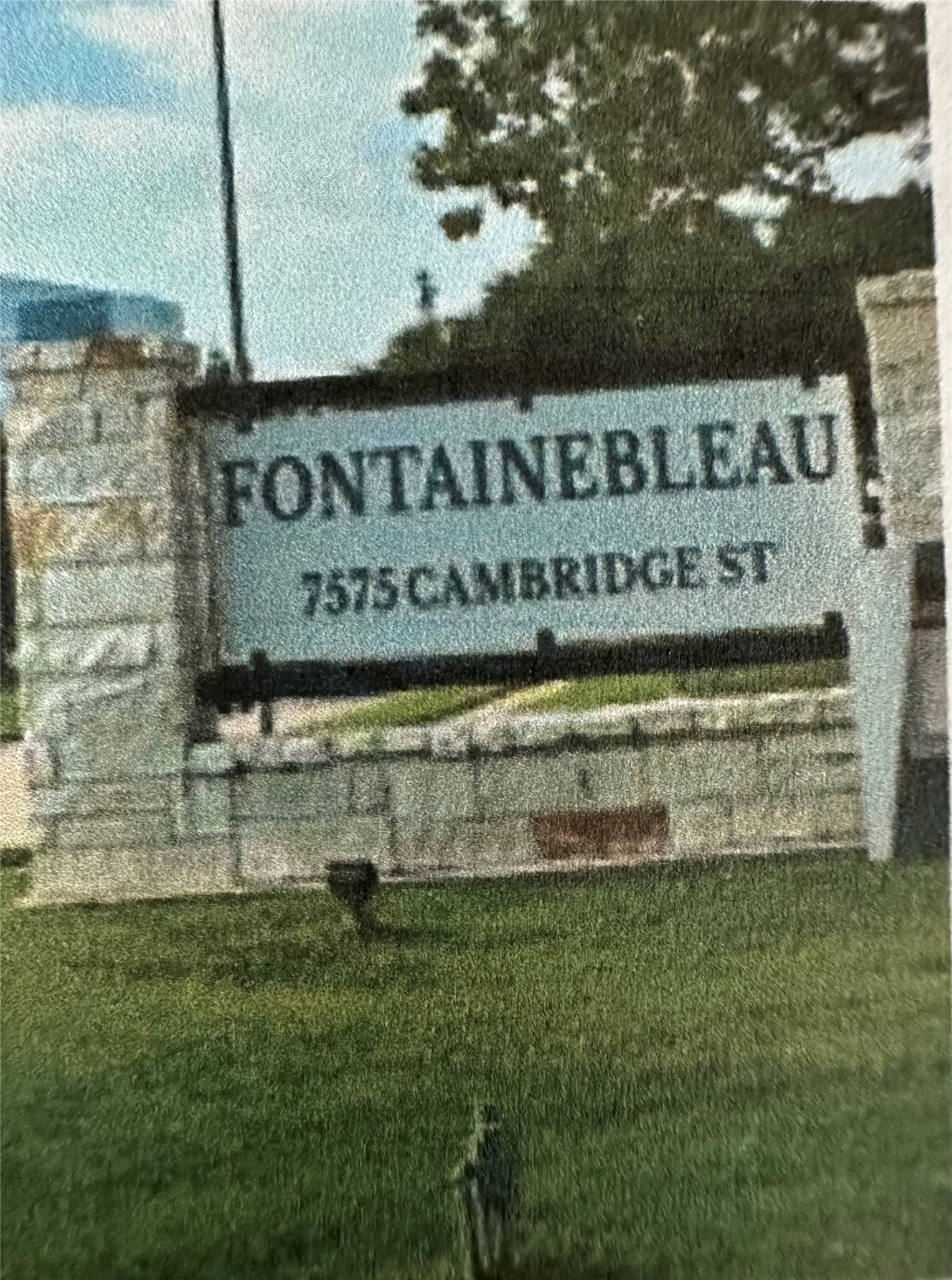a view of outdoor space with garden and trees