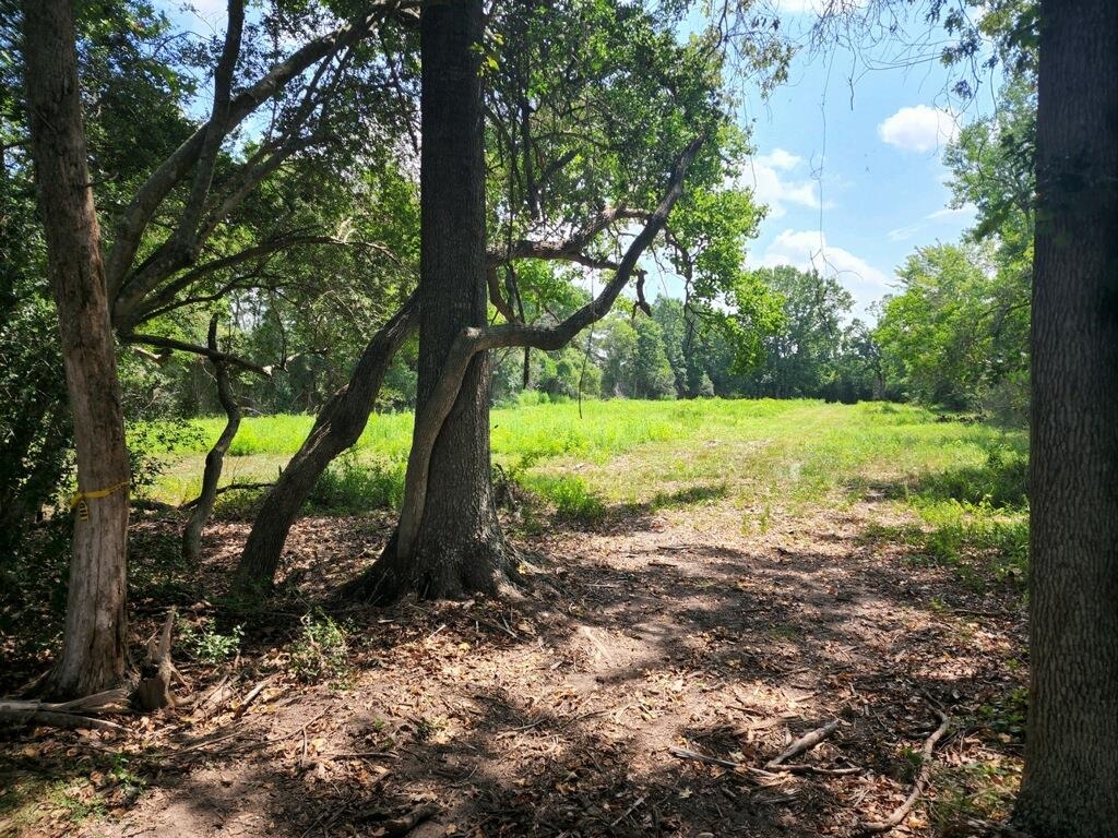15546 Sour Lake Road Beaumont, TX 77713 - Photo 29 of 35