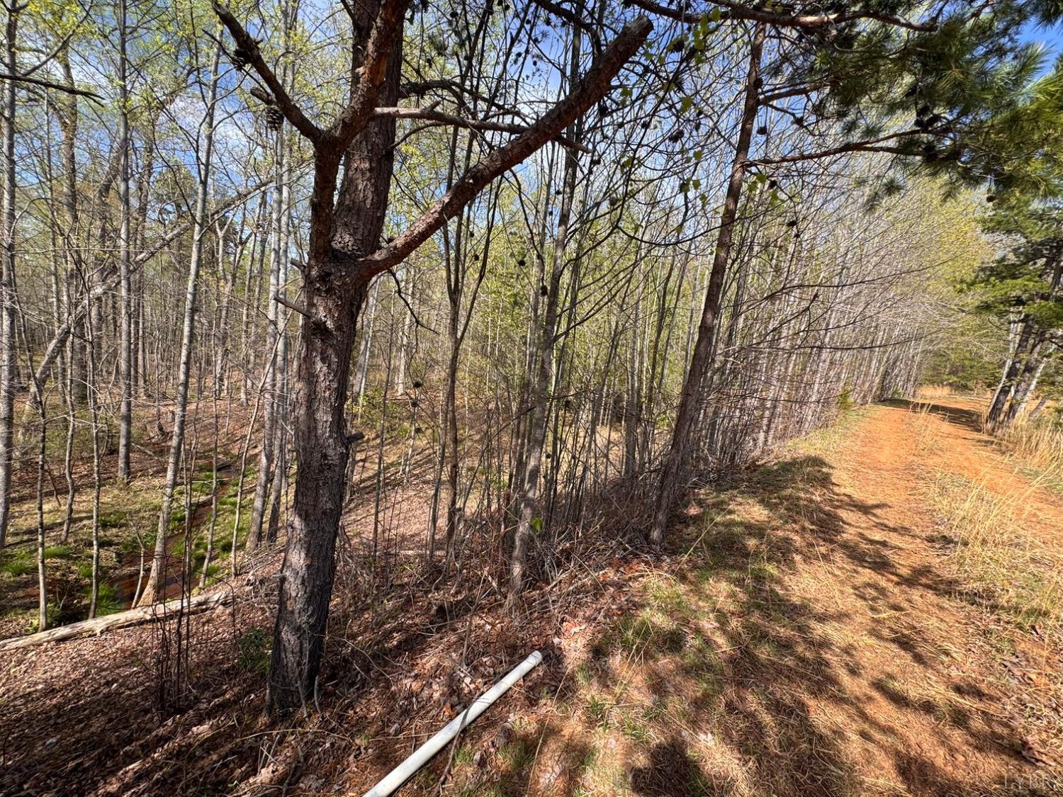 0 Cricket Lane Rustburg, VA 24588 - Photo 19 of 32 a view of a yard with trees