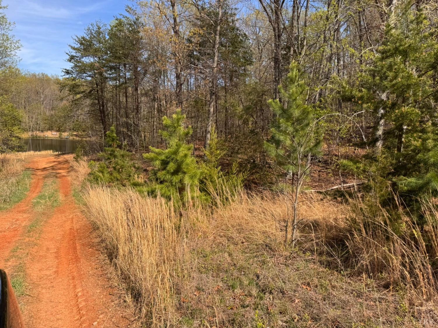 0 Cricket Lane Rustburg, VA 24588 - Photo 21 of 32