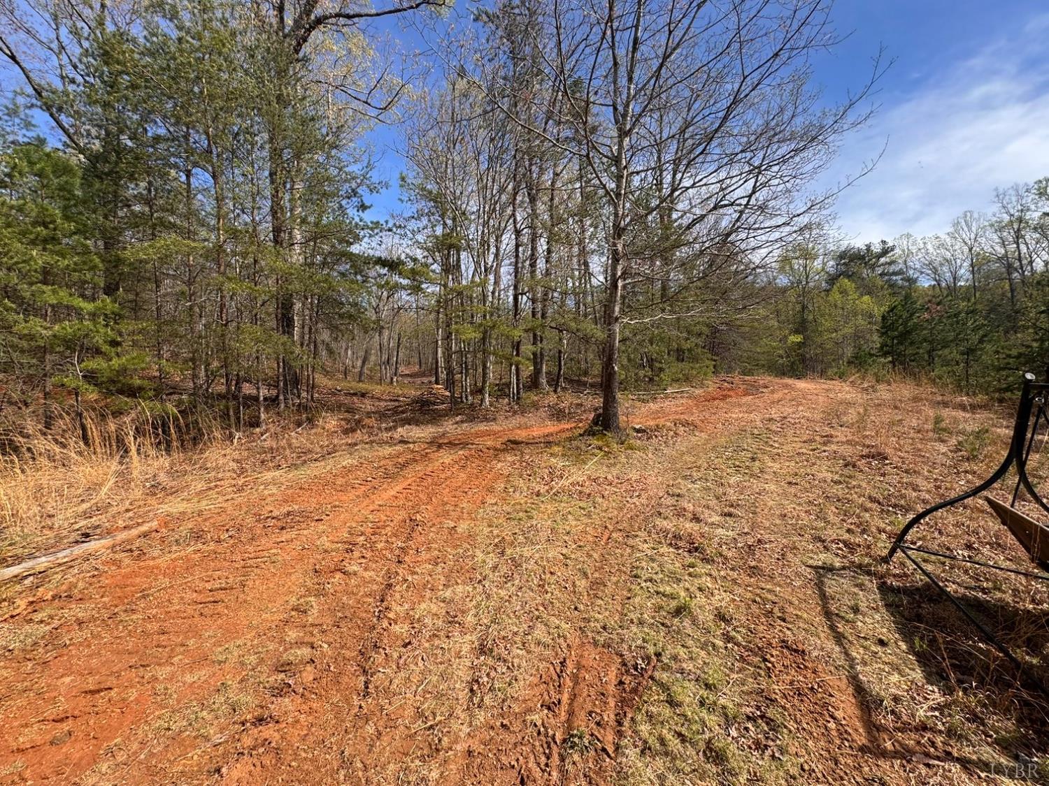 0 Cricket Lane Rustburg, VA 24588 - Photo 29 of 32 a backyard of a house with lots of green space