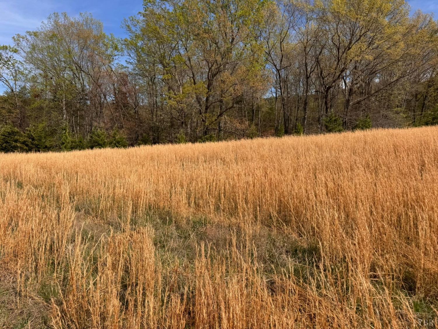 0 Cricket Lane Rustburg, VA 24588 - Photo 4 of 32 a view of snow covered with snow