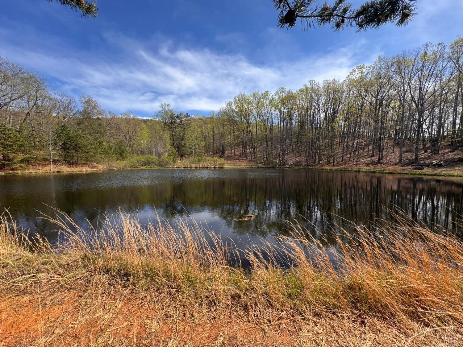 0 Cricket Lane Rustburg, VA 24588 - Photo 8 of 32 a view of a lake with a mountain view