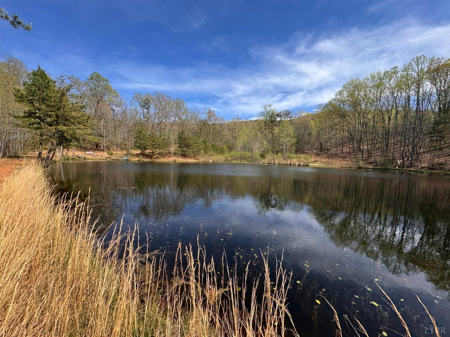 0 Cricket Lane Rustburg, VA 24588 - Photo 9 of 32 a view of a lake with a mountain in the background