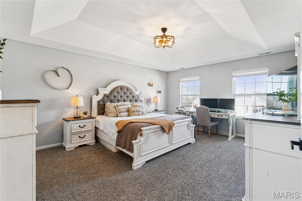 4206 Silchar Club Court O'Fallon, IL 62269 - Photo 26 of 39