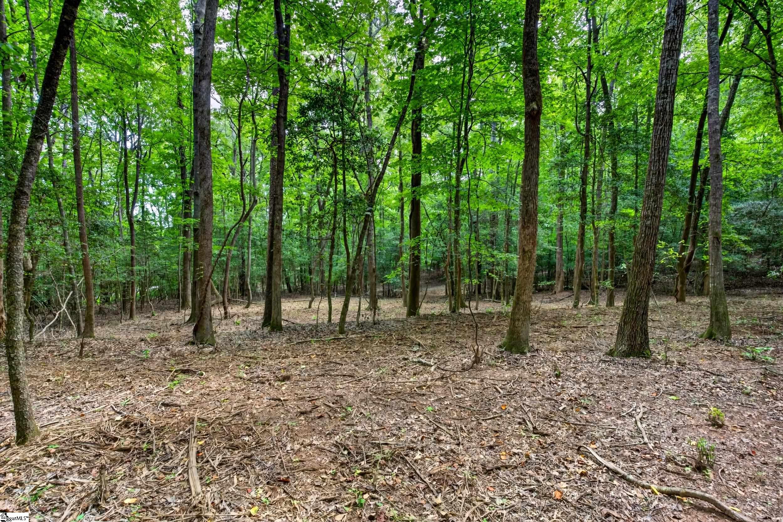 0 Mcfalls Circle Anderson, SC 29621 - Photo 21 of 30 Gallery Image 21