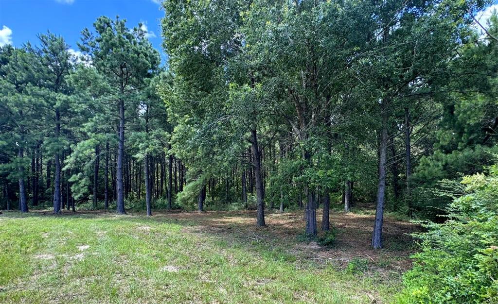 Tbd Parish Line Road Kinder, LA 70648 - Photo 6 of 10