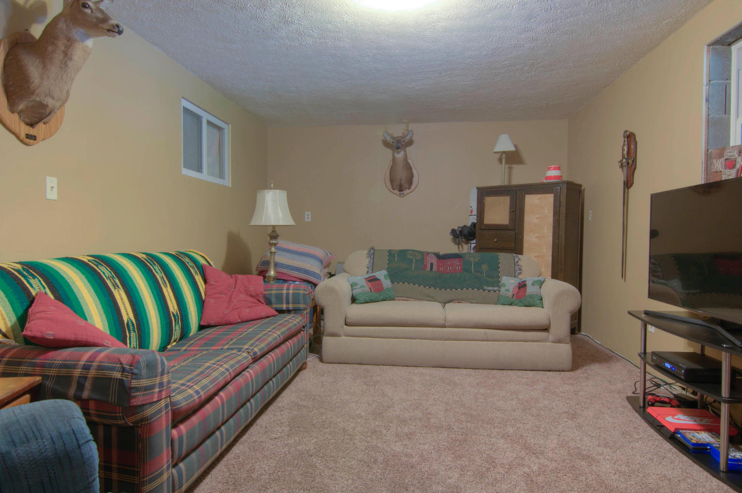 316 Fancy Meadows Road Strawberry Plains, TN 37871 - Photo 22 of 37 316 Fancy Meadows Rd-large-025-34-Baseme
