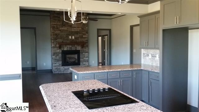 251 Tuscan Ridge Trail Inman, SC 29349 - Photo 5 of 16