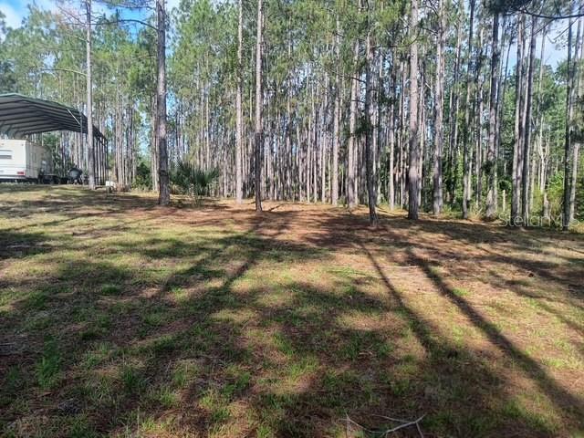 540 Southwest 326th Avenue Steinhatchee, FL 32359 - Photo 2 of 14