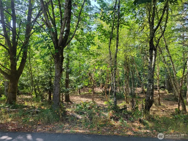 a view of outdoor space and trees