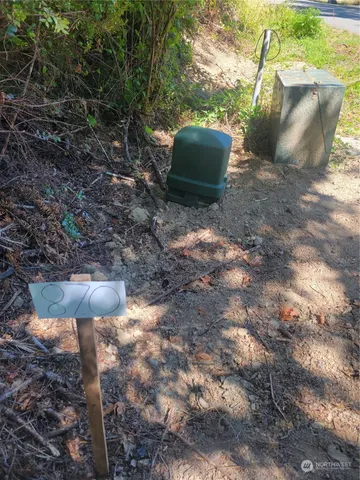 a plant view in yard
