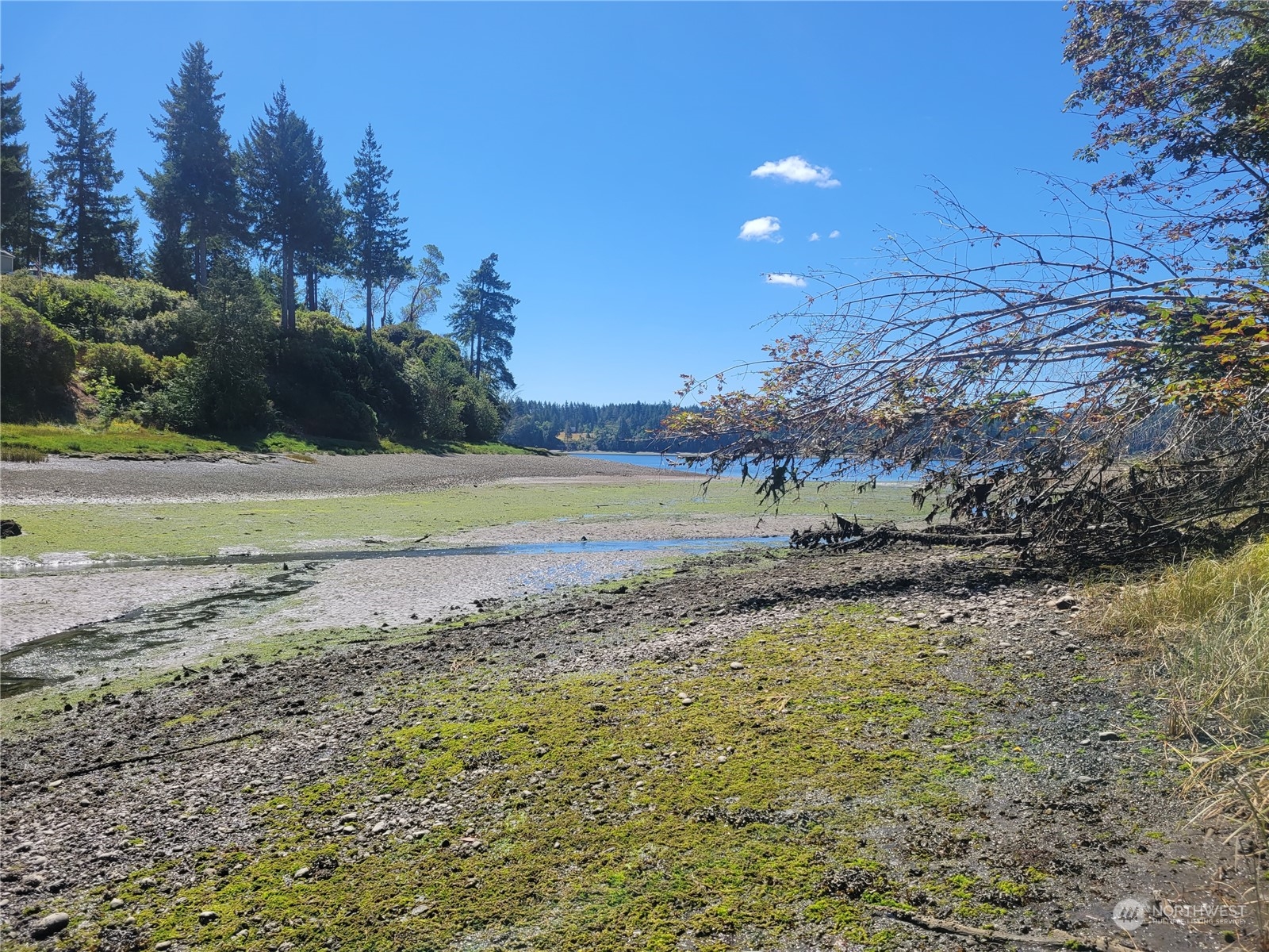 900-930 East Wilson Way Grapeview, WA 98546 - Photo 16 of 27 a view of a yard with an outdoor space