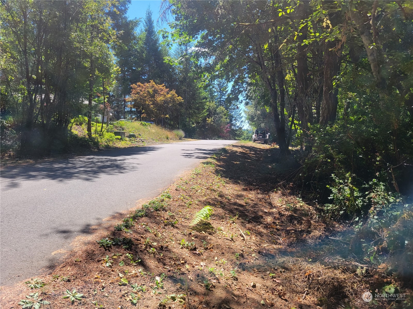 900-930 East Wilson Way Grapeview, WA 98546 - Photo 18 of 27 a view of a yard with plants and trees