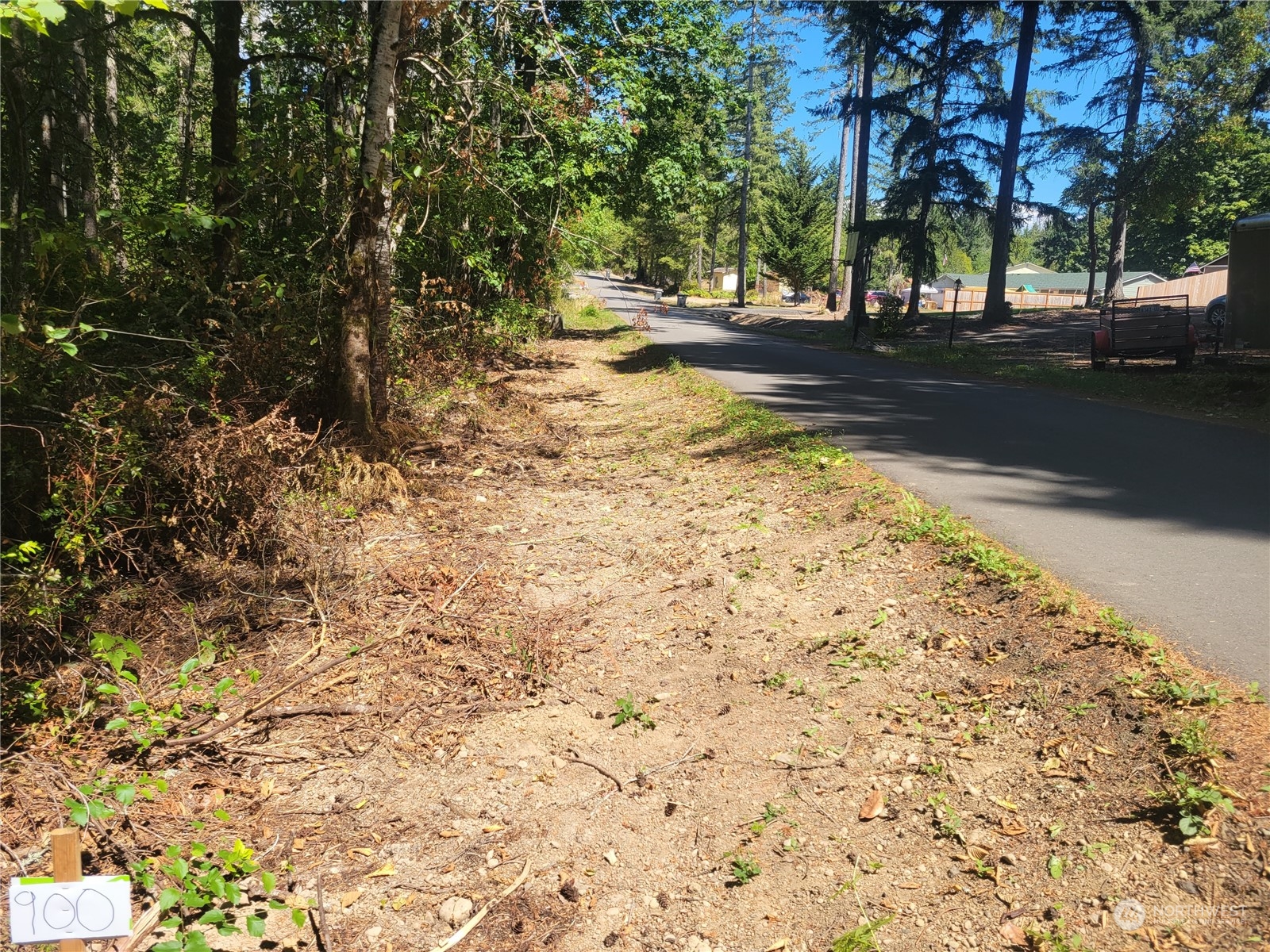 900-930 East Wilson Way Grapeview, WA 98546 - Photo 19 of 27 a view of a yard with plants and trees