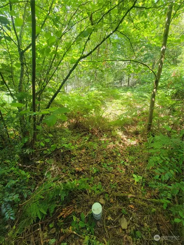 a backyard of a house with a garden and plants
