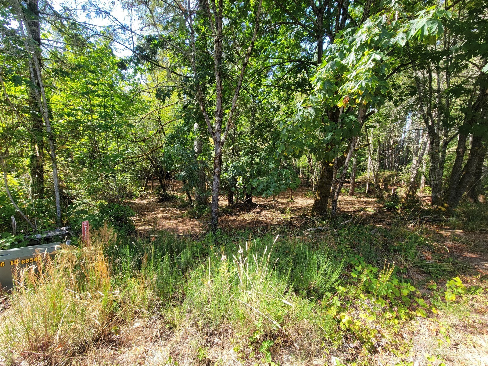 900-930 East Wilson Way Grapeview, WA 98546 - Photo 24 of 27 a backyard of a house with a garden and plants