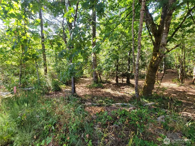 a backyard of a house with lots of trees