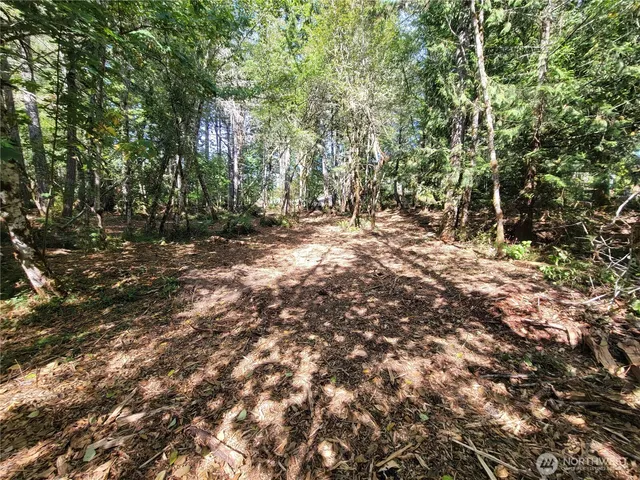 $259,900 | 900-930 East Wilson Way, Grapeview, WA 98546