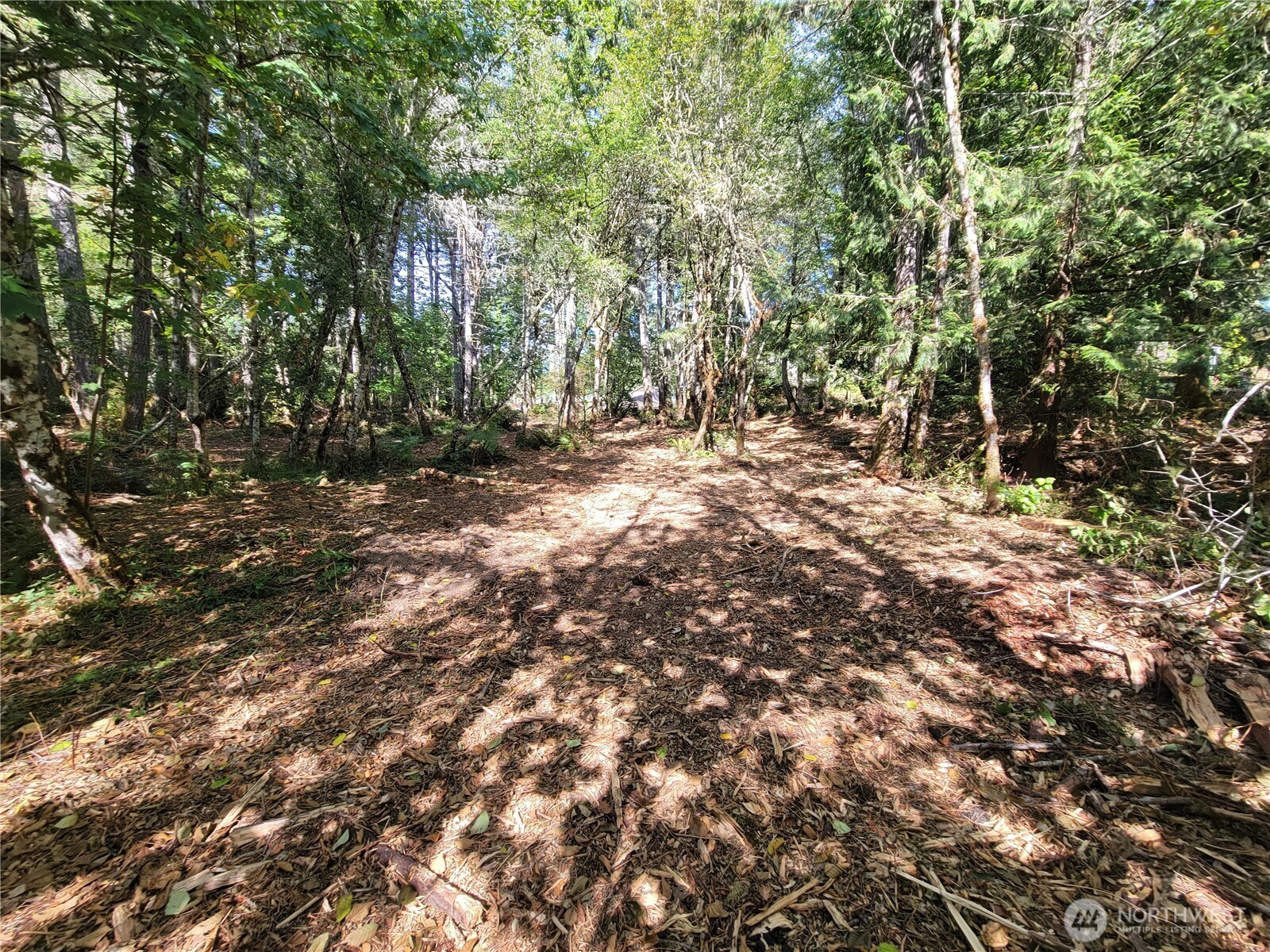 900-930 East Wilson Way Grapeview, WA 98546 - Photo 27 of 27 a backyard of a house with lots of trees
