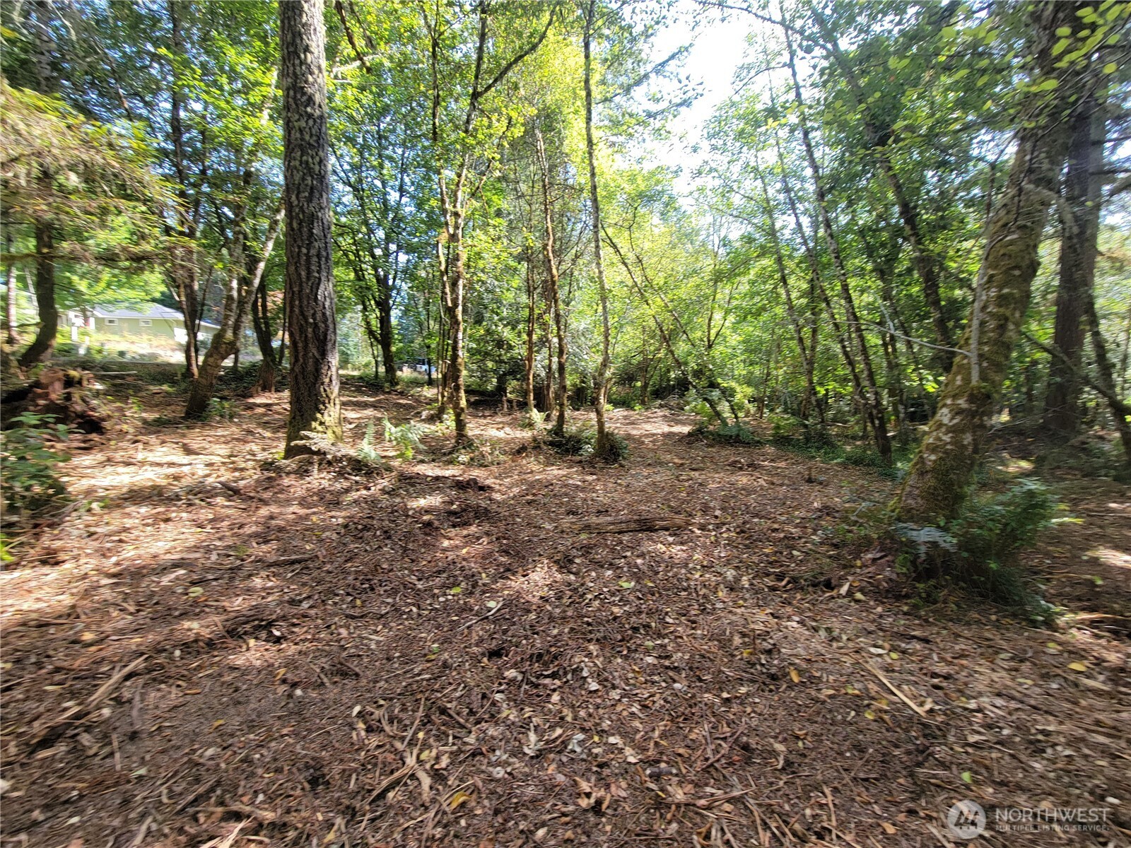 900-930 East Wilson Way Grapeview, WA 98546 - Photo 3 of 27 a view of a forest with trees in the background