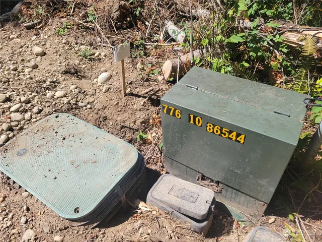 a view of a tree in a yard
